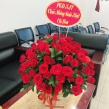 Hoa chúc mừng khai trương