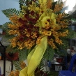 Hoa chúc mừng khai trương bền