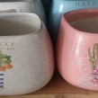 Chậu Cây Cảnh Sứ Xinh Xắn
