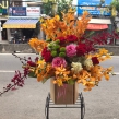 Hoa Tươi Chúc Mừng 