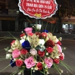 Hoa Sinh Nhật Mẹ