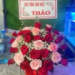 HOA CHÚC MỪNG HỒNG ĐỎ