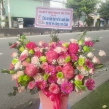 HOA GIỎ CHÚC MỪNG