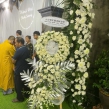 HOA CHIA BUỒN