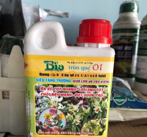 bio dung dịch thủy phân trùn quế tươi