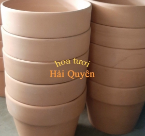 Chậu Cây Cảnh Đất Nung Đẹp