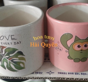 Chậu Cây Cảnh Sứ Đẹp Họa Tiết  Dễ Thương