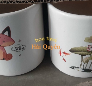 Chậu Cây Cảnh Sứ Đẹp Dễ Thương