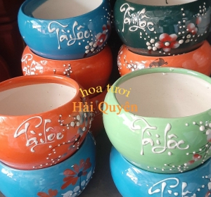 Chậu Cây Cảnh Xinh Xắn Tài Lộc