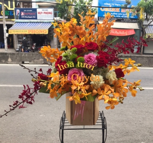 Hoa Tươi Chúc Mừng 