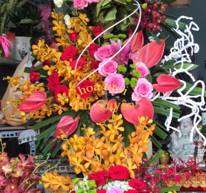 Hoa Khai Trương Công Ty