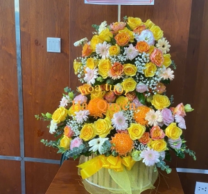 HOA CHÚC MỪNG