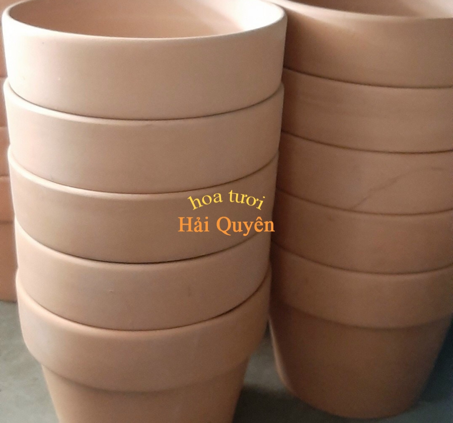 Chậu Cây Cảnh Đất Nung Đẹp