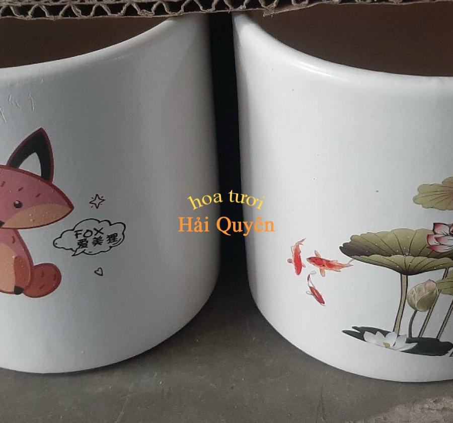 Chậu Cây Cảnh Sứ Đẹp Dễ Thương